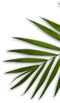 Vip Healthcare Center